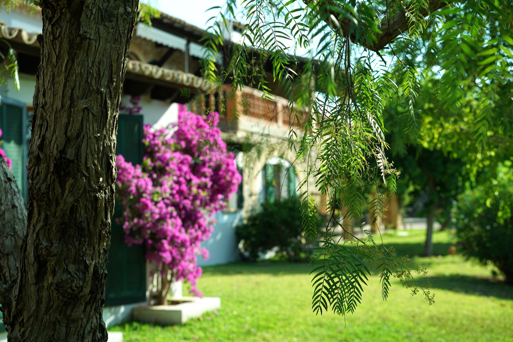 Grounds