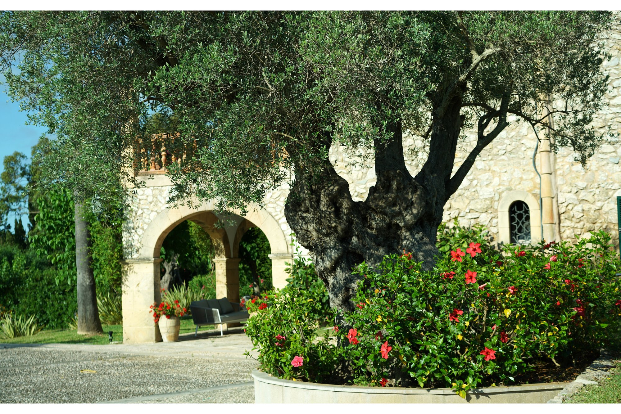 Grounds