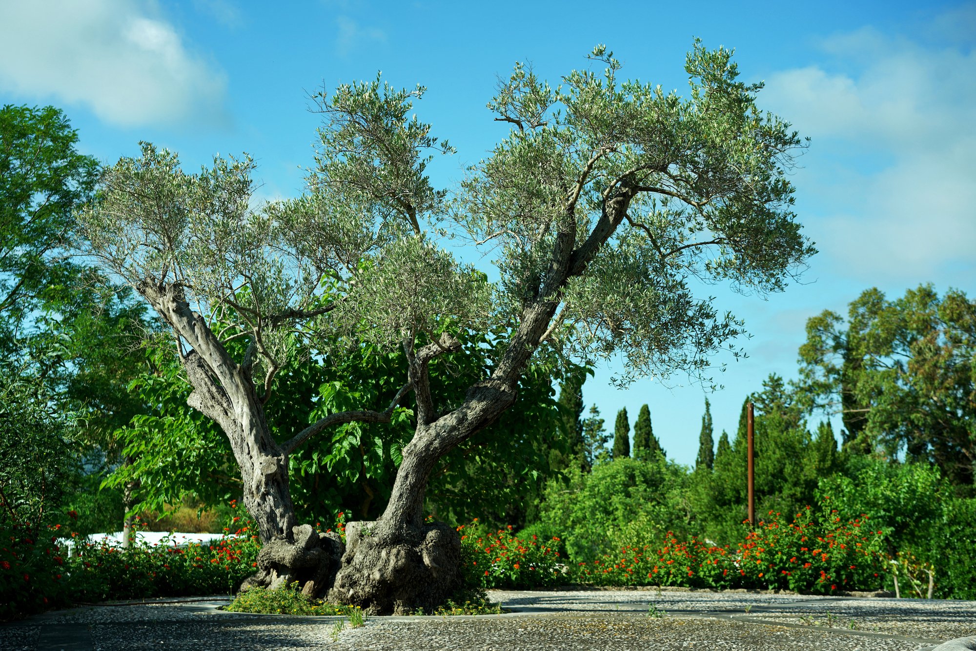 Grounds