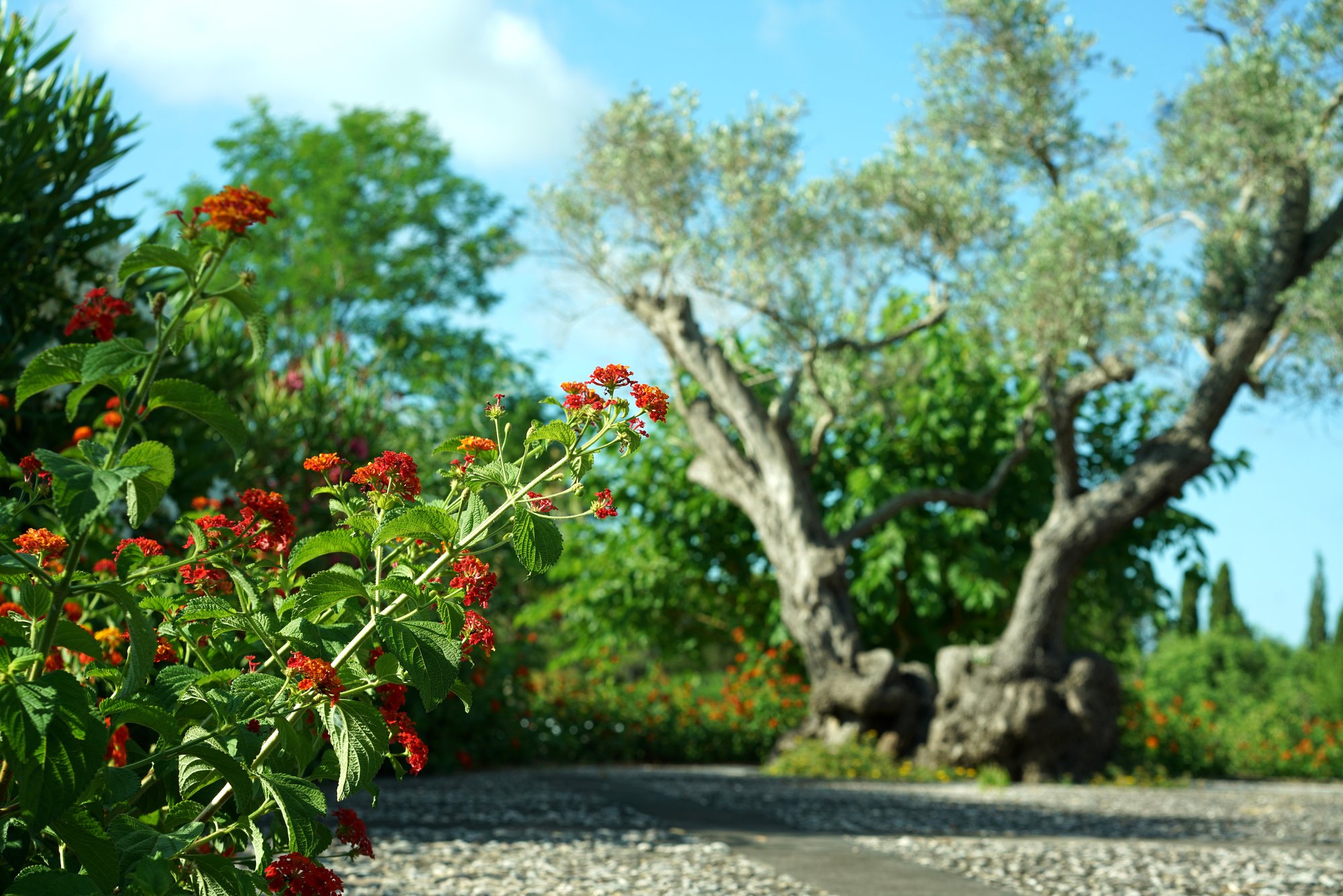 Grounds
