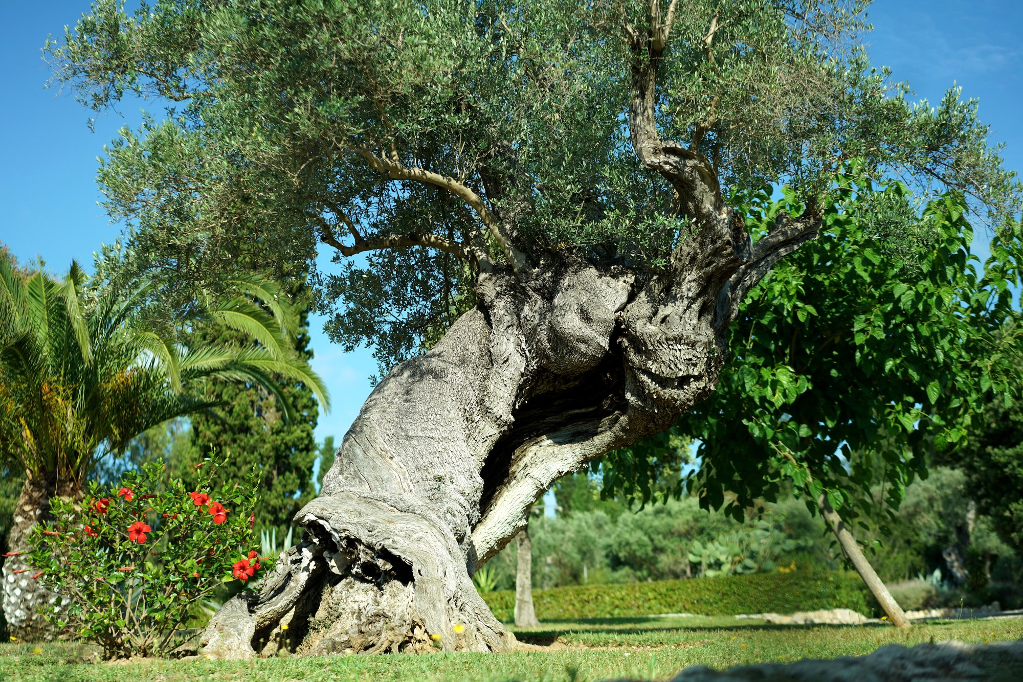 Grounds